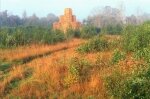 Дровник